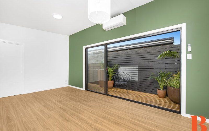15 Blueberry Ash_living